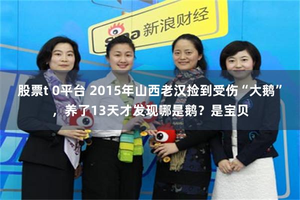 股票t 0平台 2015年山西老汉捡到受伤“大鹅”，养了13天才发现哪是鹅？是宝贝