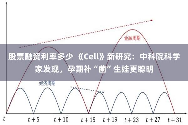 股票融资利率多少 《Cell》新研究：中科院科学家发现，孕期补“菌”生娃更聪明