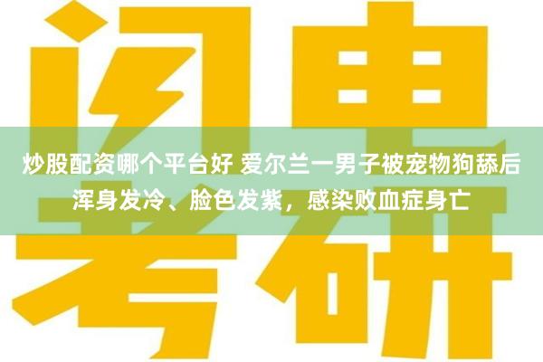 炒股配资哪个平台好 爱尔兰一男子被宠物狗舔后浑身发冷、脸色发紫，感染败血症身亡