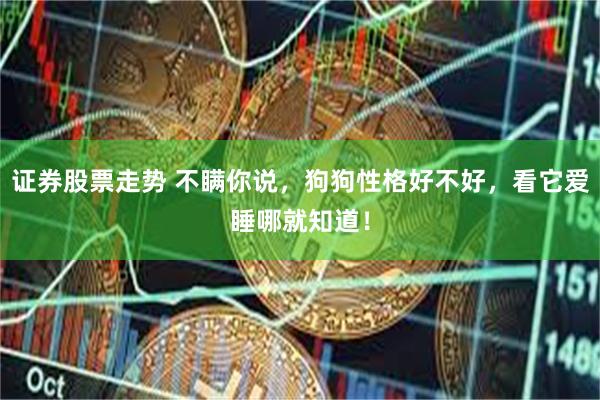 证券股票走势 不瞒你说，狗狗性格好不好，看它爱睡哪就知道！