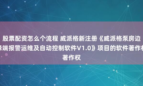 股票配资怎么个流程 威派格新注册《威派格泵房边缘端报警运维及自动控制软件V1.0》项目的软件著作权