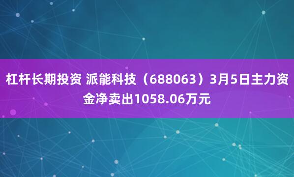 杠杆长期投资 派能科技（688063）3月5日主力资金净卖出1058.06万元