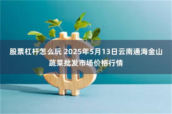 股票杠杆怎么玩 2025年5月13日云南通海金山蔬菜批发市场价格行情
