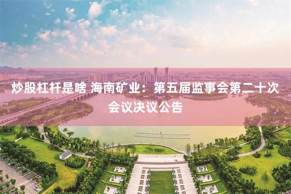 炒股杠杆是啥 海南矿业：第五届监事会第二十次会议决议公告