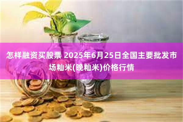 怎样融资买股票 2025年6月25日全国主要批发市场籼米(晚籼米)价格行情
