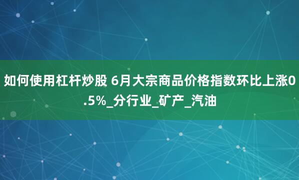 如何使用杠杆炒股 6月大宗商品价格指数环比上涨0.5%_分行业_矿产_汽油