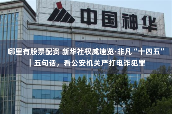 哪里有股票配资 新华社权威速览·非凡“十四五”｜五句话，看公安机关严打电诈犯罪