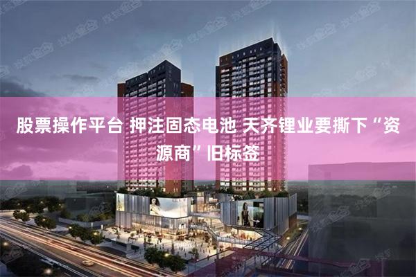 股票操作平台 押注固态电池 天齐锂业要撕下“资源商”旧标签