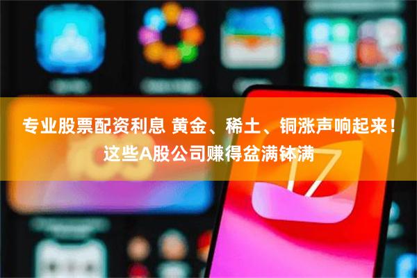 专业股票配资利息 黄金、稀土、铜涨声响起来！这些A股公司赚得盆满钵满