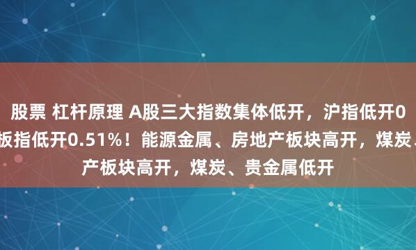 股票 杠杆原理 A股三大指数集体低开，沪指低开0.24%，创业板指低开0.51%！能源金属、房地产板块高开，煤炭、贵金属低开